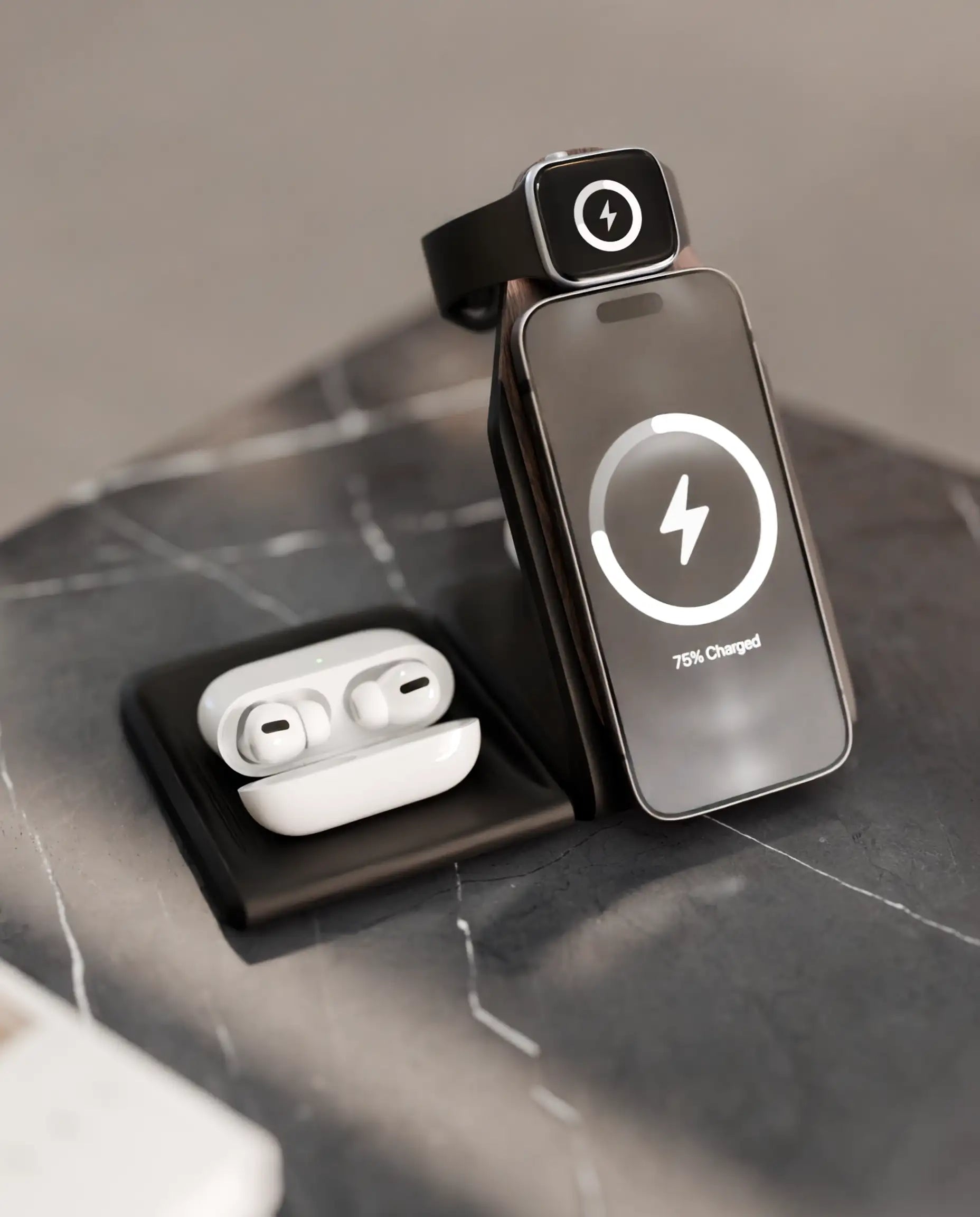 Modular Docking Stand 2 in 1